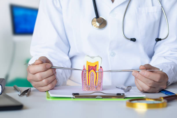 Best 24-Hour Emergency Dental Care in Tuckahoe, VA